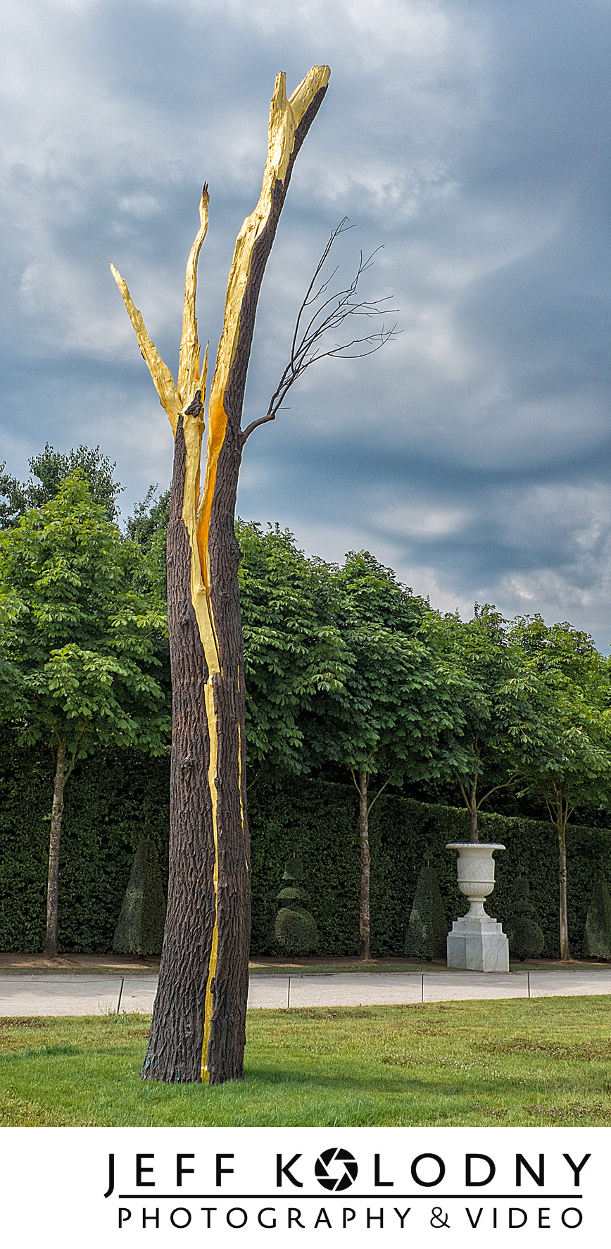 Paris tree of stone