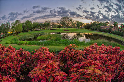 Mizner Country Club,  Florida