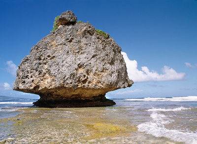 Bathsheba Rock Barbados