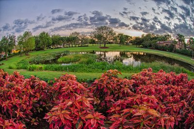 Mizner Country Club Wedding Beauty