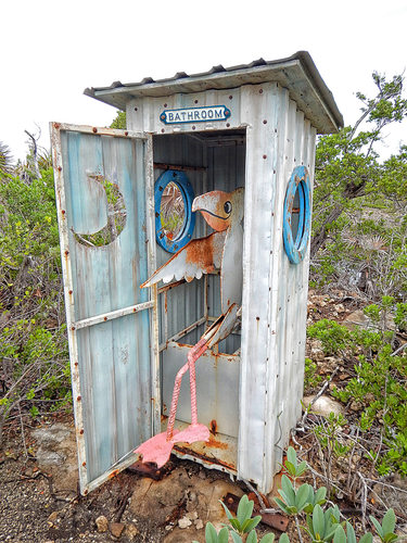 Potty time on the Disney Island