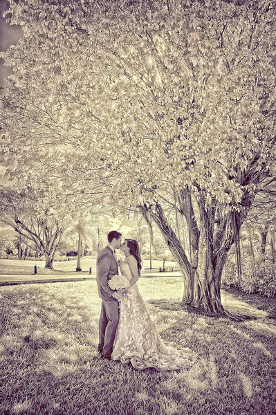 Infrared wedding photo taken in Southern Florida.