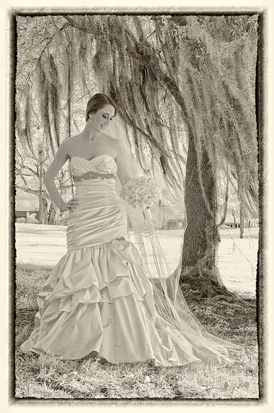 Infrared wedding photo taken in South Florida
