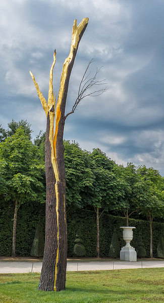 Paris tree of stone