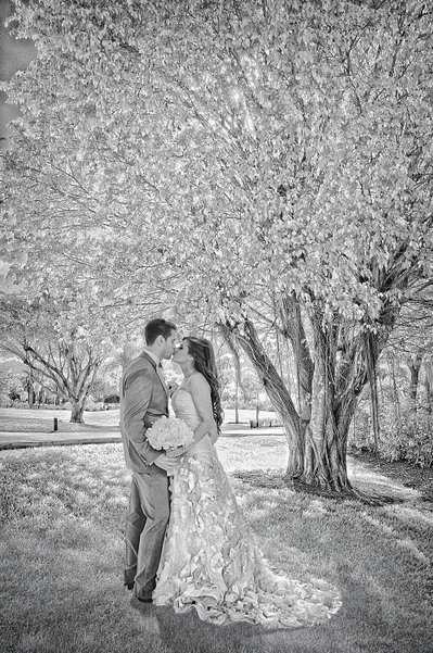 Capturing Love: The Art of Florida Wedding Photography