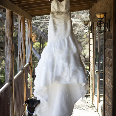 Wedding dress and dog hideout on the horseshoe