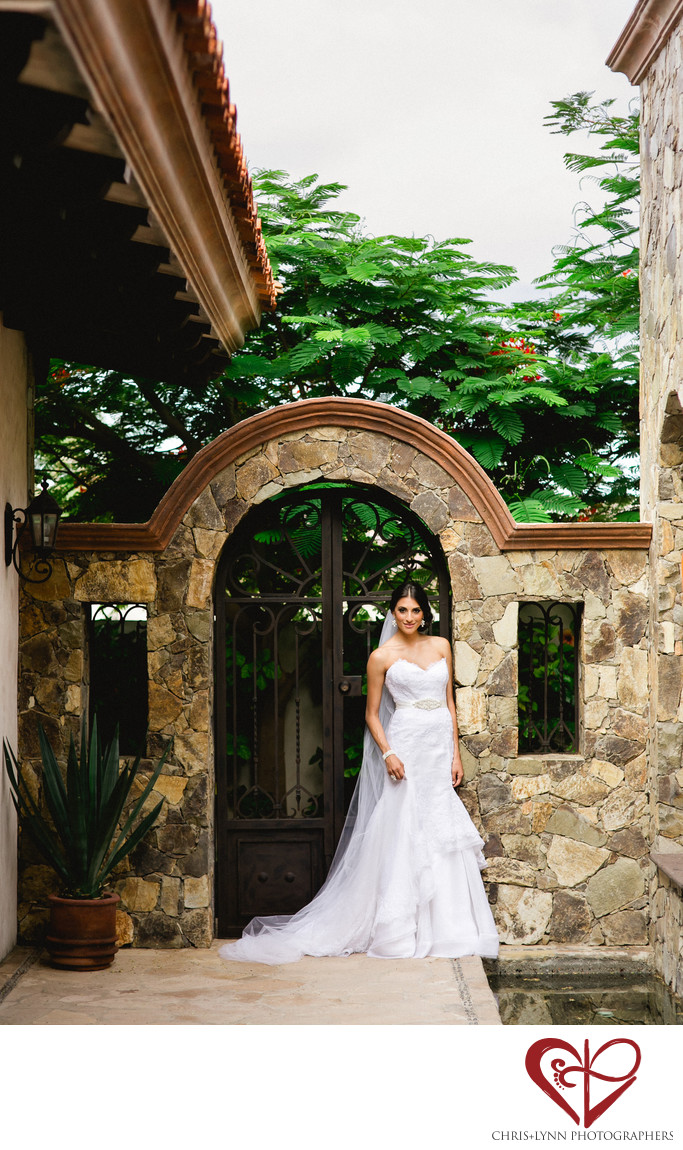 Cabo Villa Mexico Wedding Photographers - Mexico Destination Wedding at ...