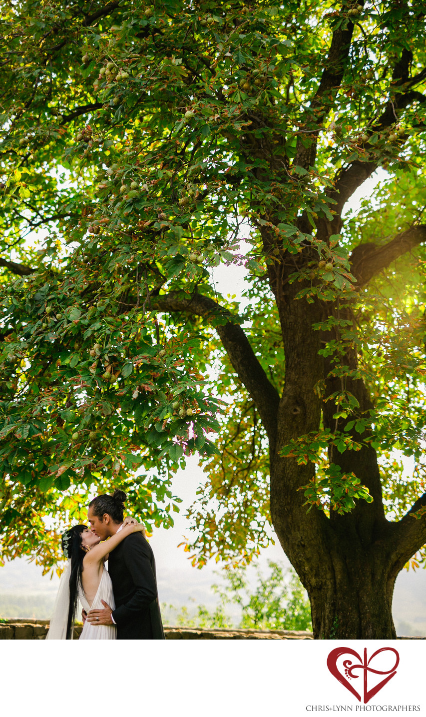 Dvorec Zemono Wedding Ceremony Kiss Photo