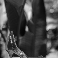 One and Only Palmilla Wedding - CHRIS+LYNN PHOTOGRAPHERS