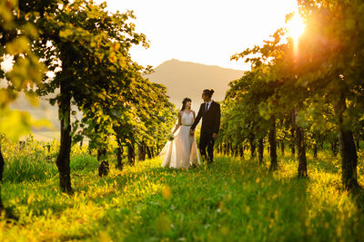 Best Vineyard Wedding Bride and Groom Photo