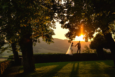Sunset Vineyard Wedding Photo in Slovenia