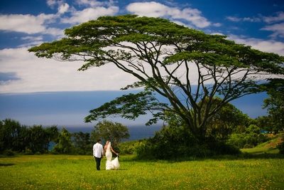 Hawaii Destination Wedding Photographers