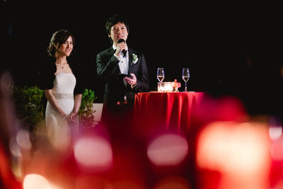 Villa La Vedetta Wedding reception, bride & groom speech