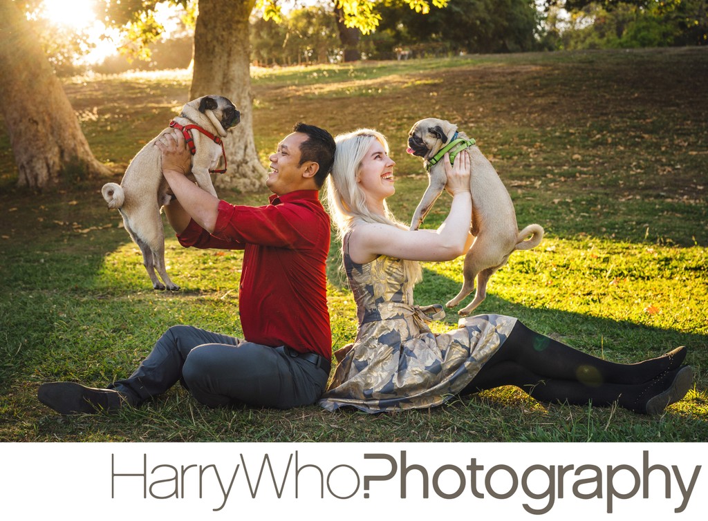 Cute engagement photo with pets