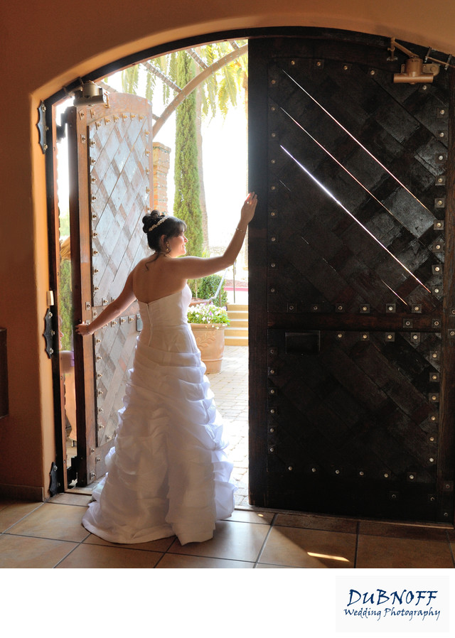 Gorgeous Bride In Cellar Doorway At The Palm Event Center In