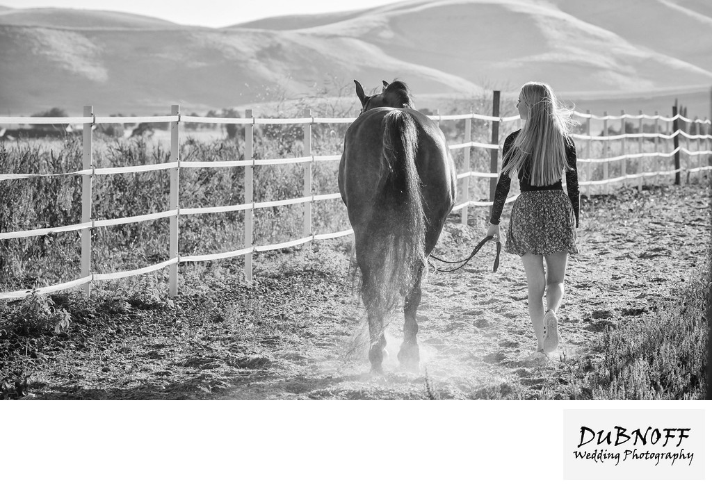 Black and White Equine Photography Image - San Francisco Bay Area