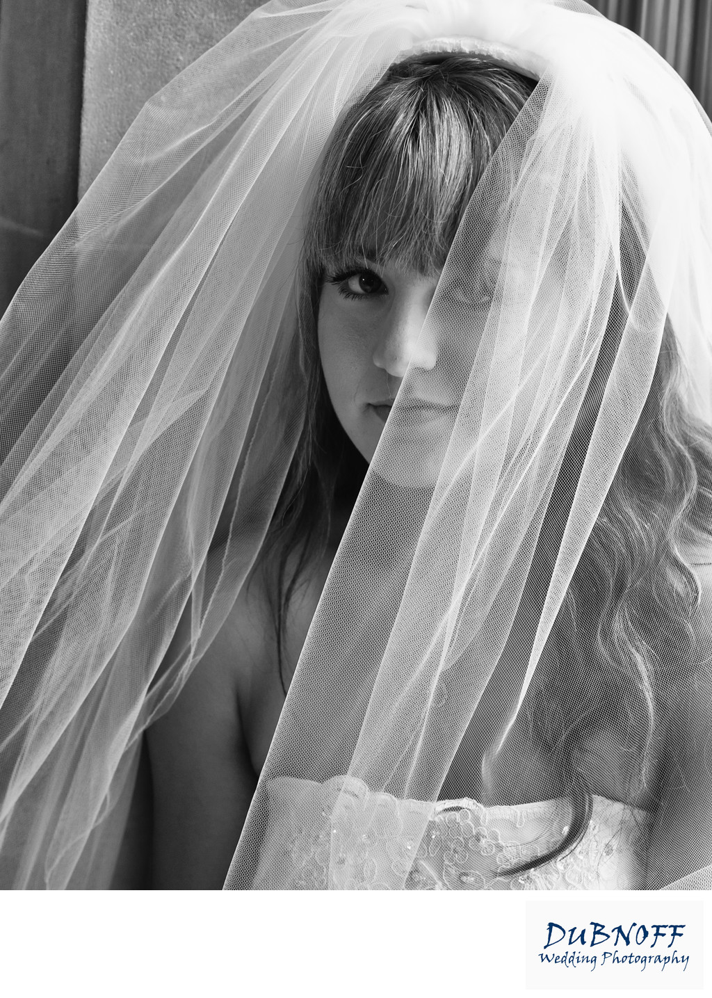 bride framed veil portrait photographer at SF city hall