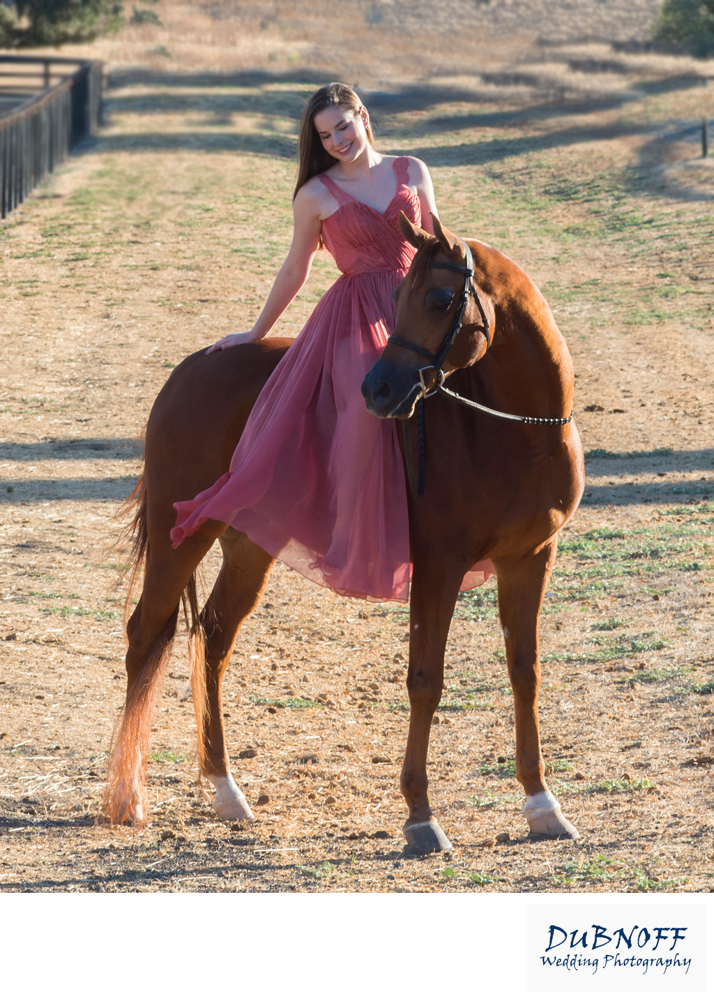 Equine Photography Portrait Session for a High School Senior in Dress