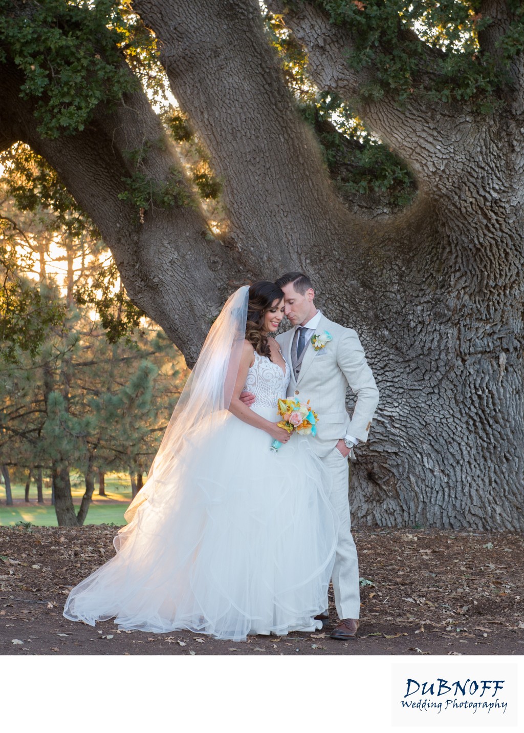 Bride and Groom in the San Francisco Bay Area with Oak Tree