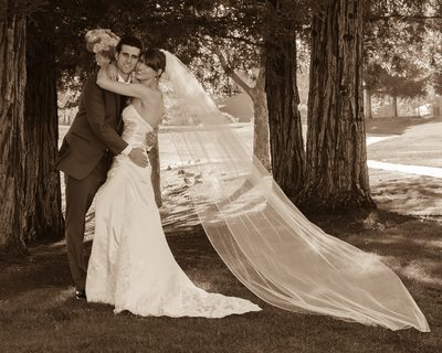 blackhawk wedding veil -  Bay Area Wedding Photography
