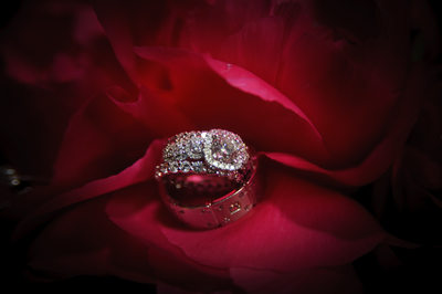 Romantic Danville Wedding Rings with Flowers