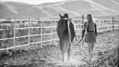 Black and White Equine Photography Image - San Francisco Bay Area