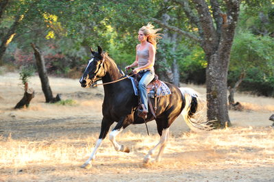 San Francisco Bay Area Equestrian riding through the woods