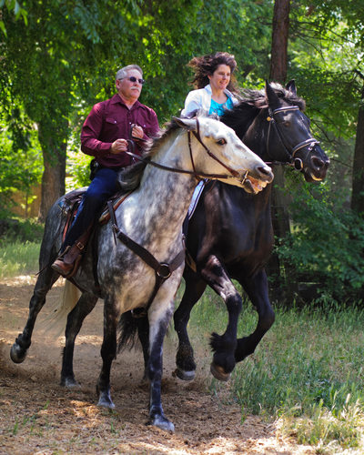 Horses Cantering During Equine Portrait Photography Session