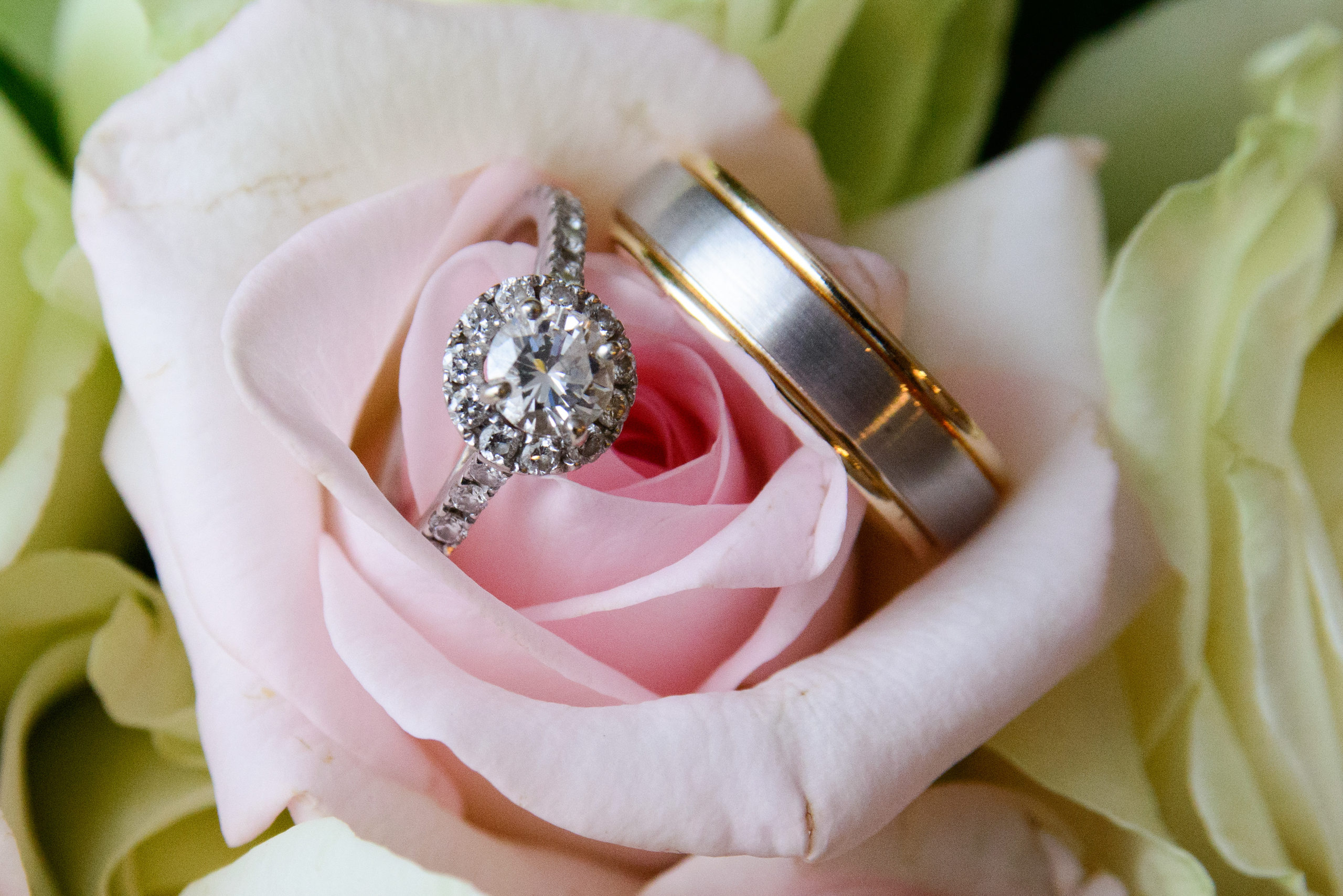 city-hall-wedding-rings.jpg