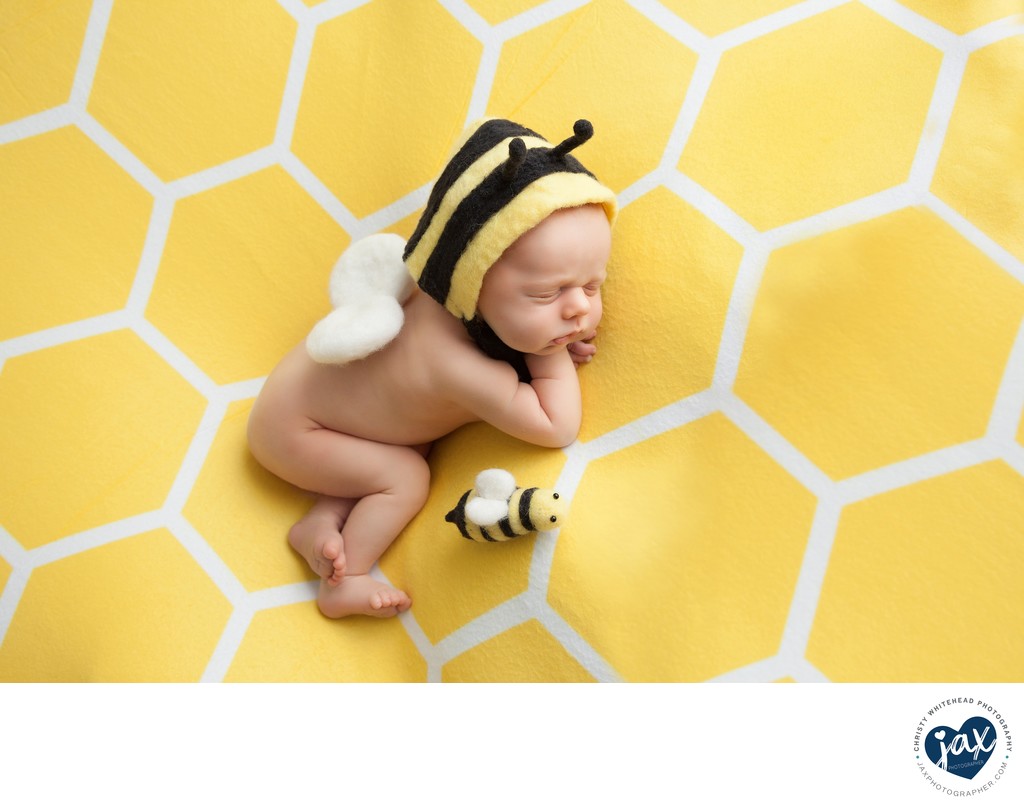 Little Baby Bee JAX Florida Photography 