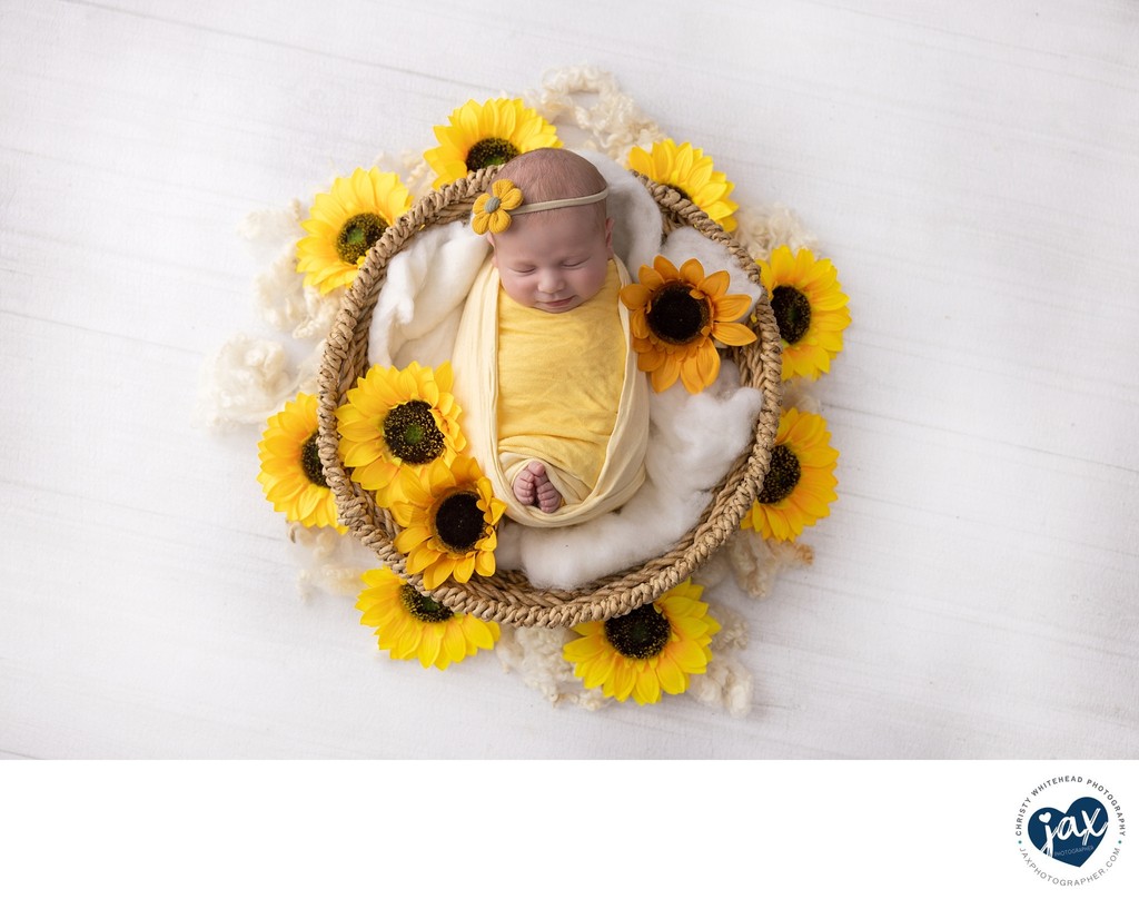 Newborn photography, in basket, sunflowers, Jacksonville, Fl
