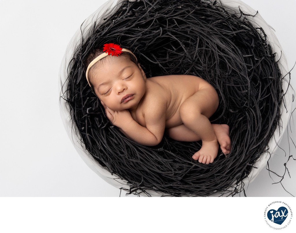 Baby girl photographed in studio, in basket, red flower
