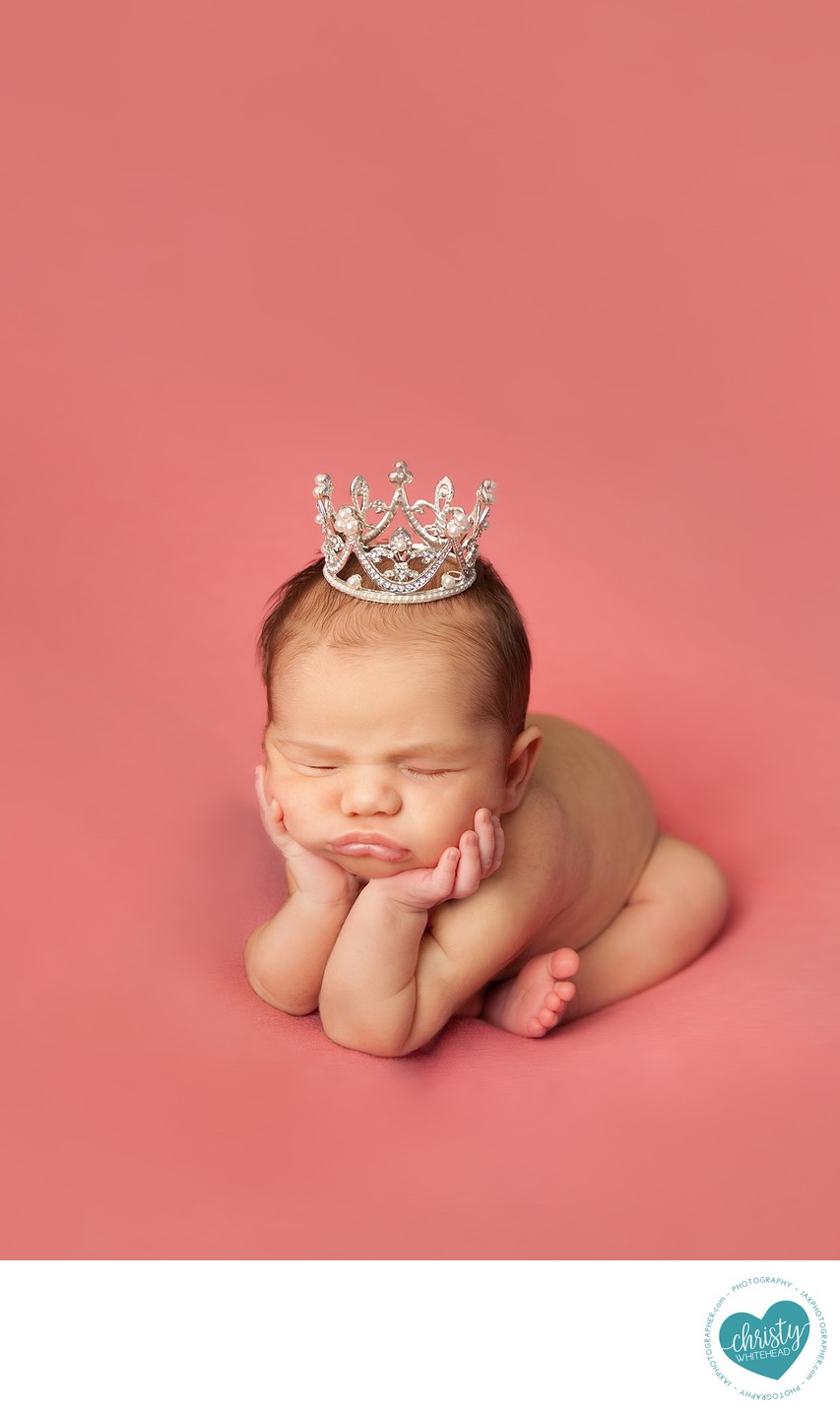 Little Princess With Crown Photo Shoot Jacksonville 