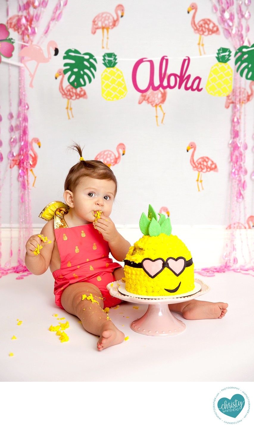 Baby With Her Pineapple Aloha Cake Christy Whitehead 