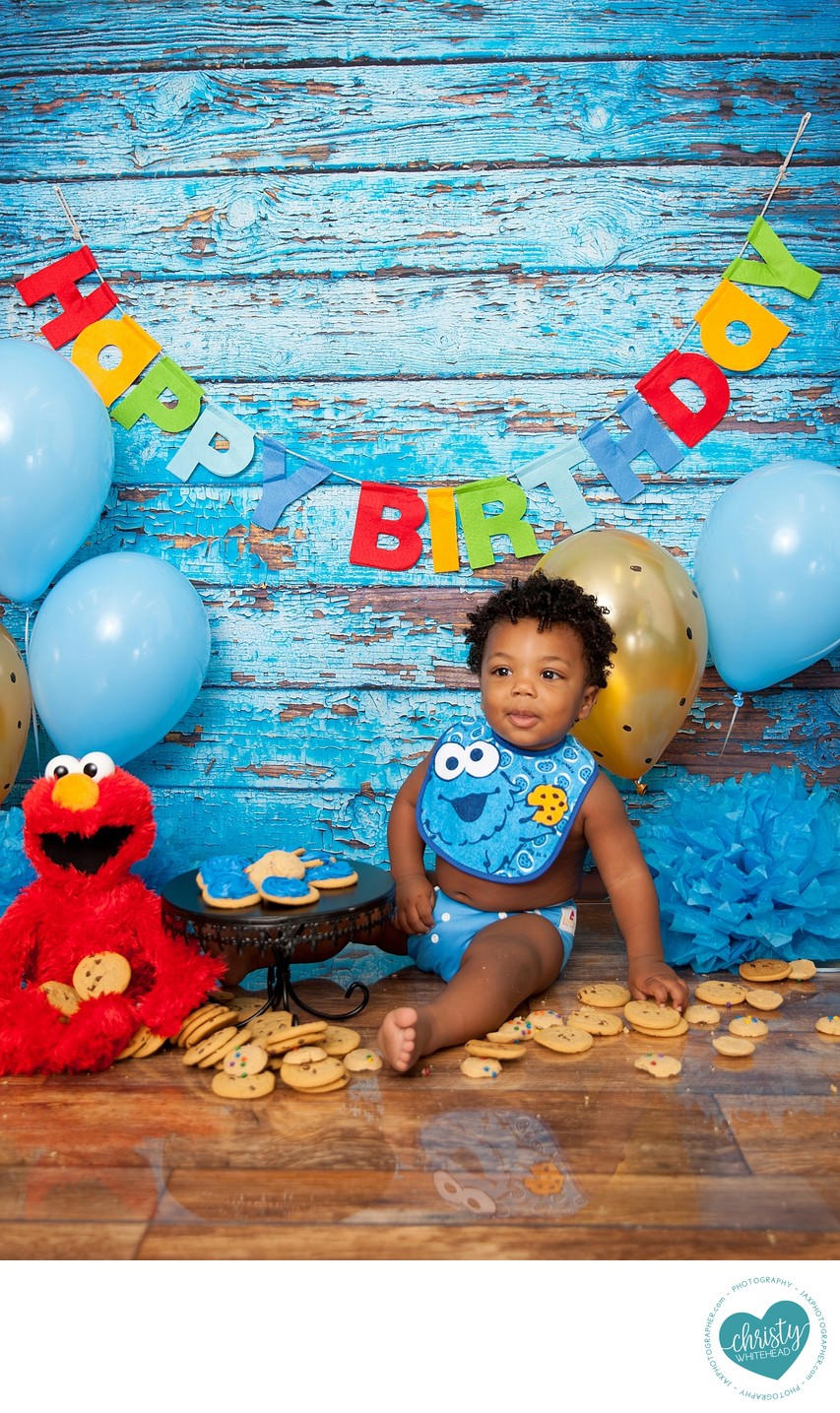 Baby Cookie Monster Photo Shot Florida 