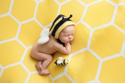 Little Baby Bee JAX Florida Photography 