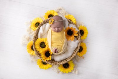 Newborn photography, in basket, sunflowers, Jacksonville, Fl
