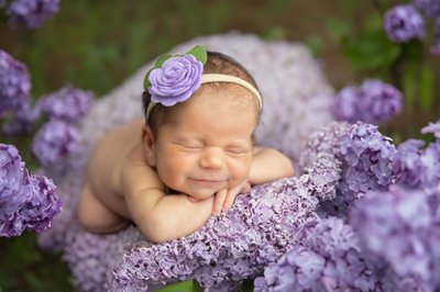 newborn girl photographed in studio, purple flowers