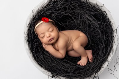 Baby girl photographed in studio, in basket, red flower
