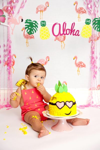 Baby With Her Pineapple Aloha Cake Christy Whitehead 