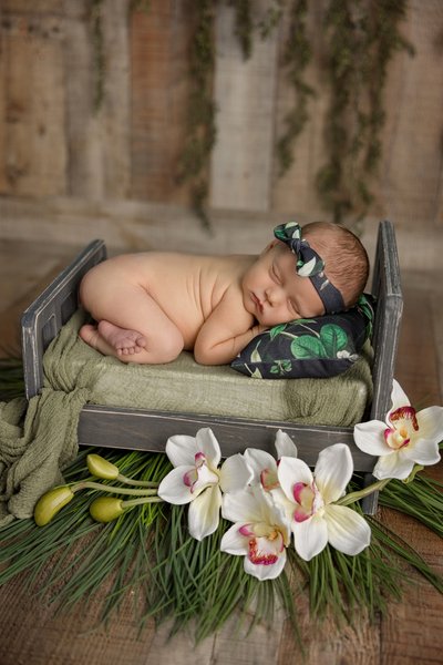 Jacksonville newborn photography floral bed