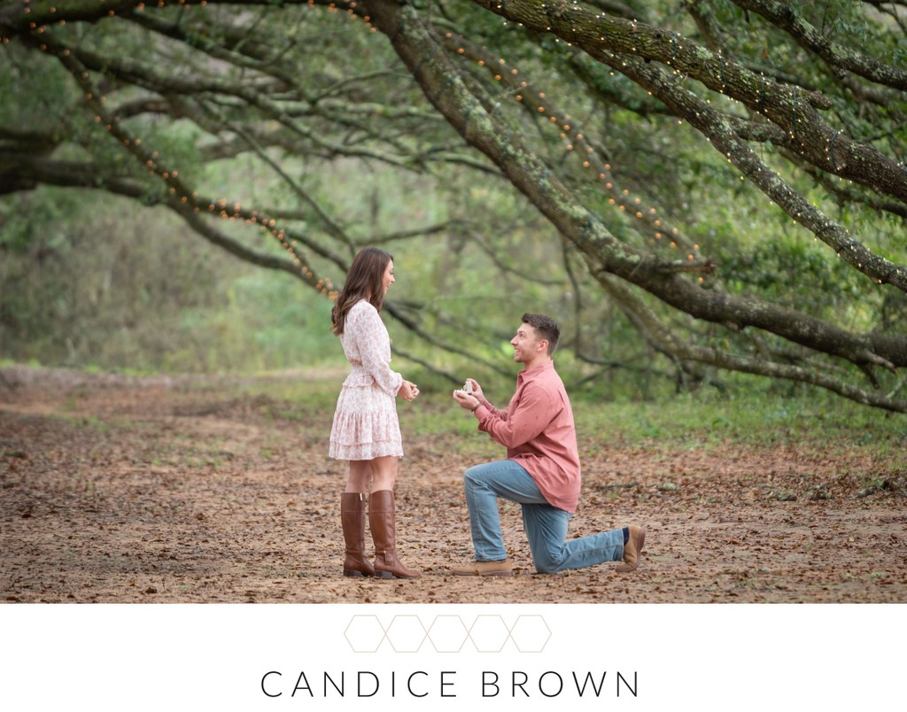 Oak Hollow Wedding Proposal