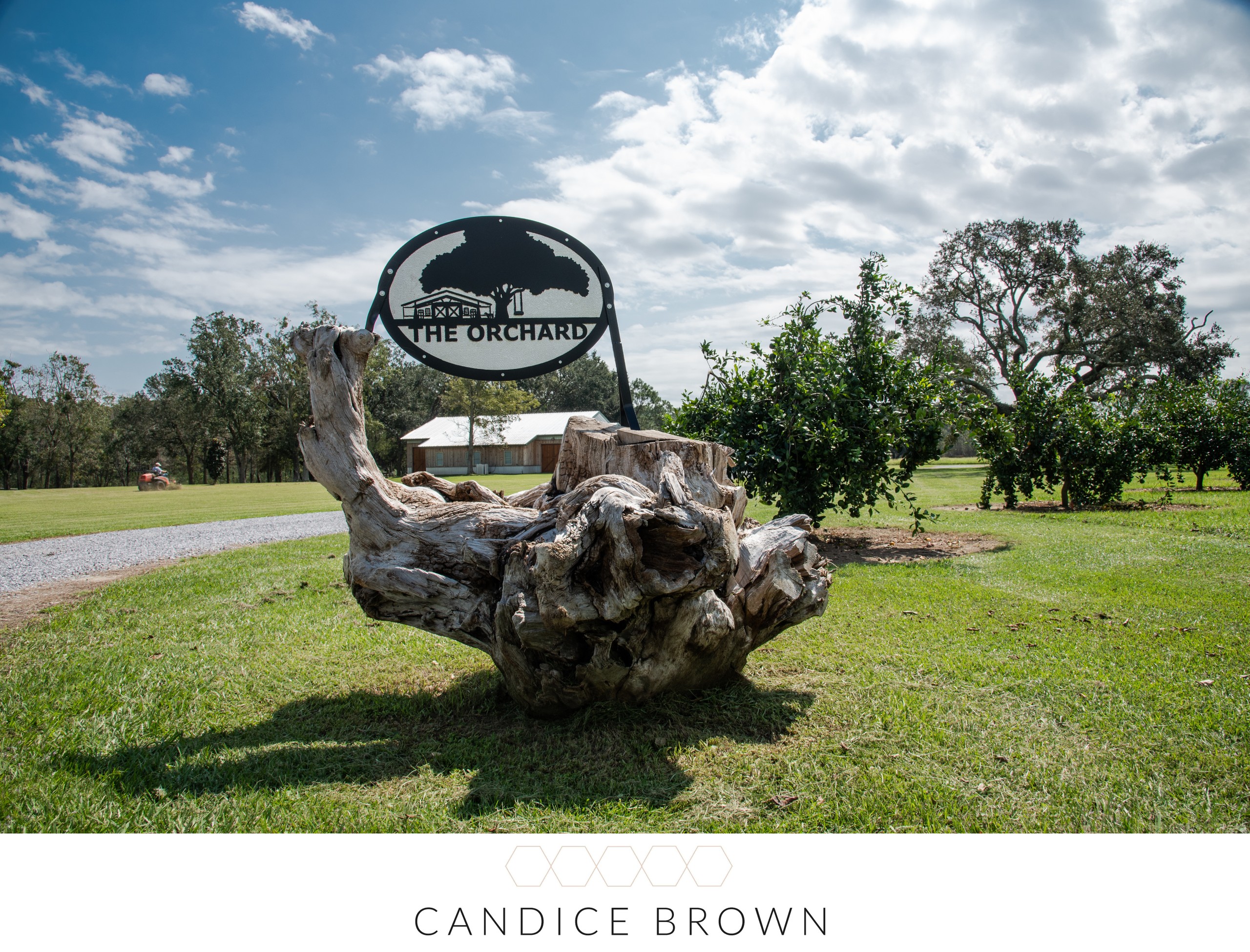 Hayes Farm Candice Brown Photography Wedding and Portrait Professional