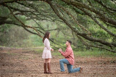 Oak Hollow Wedding Proposal