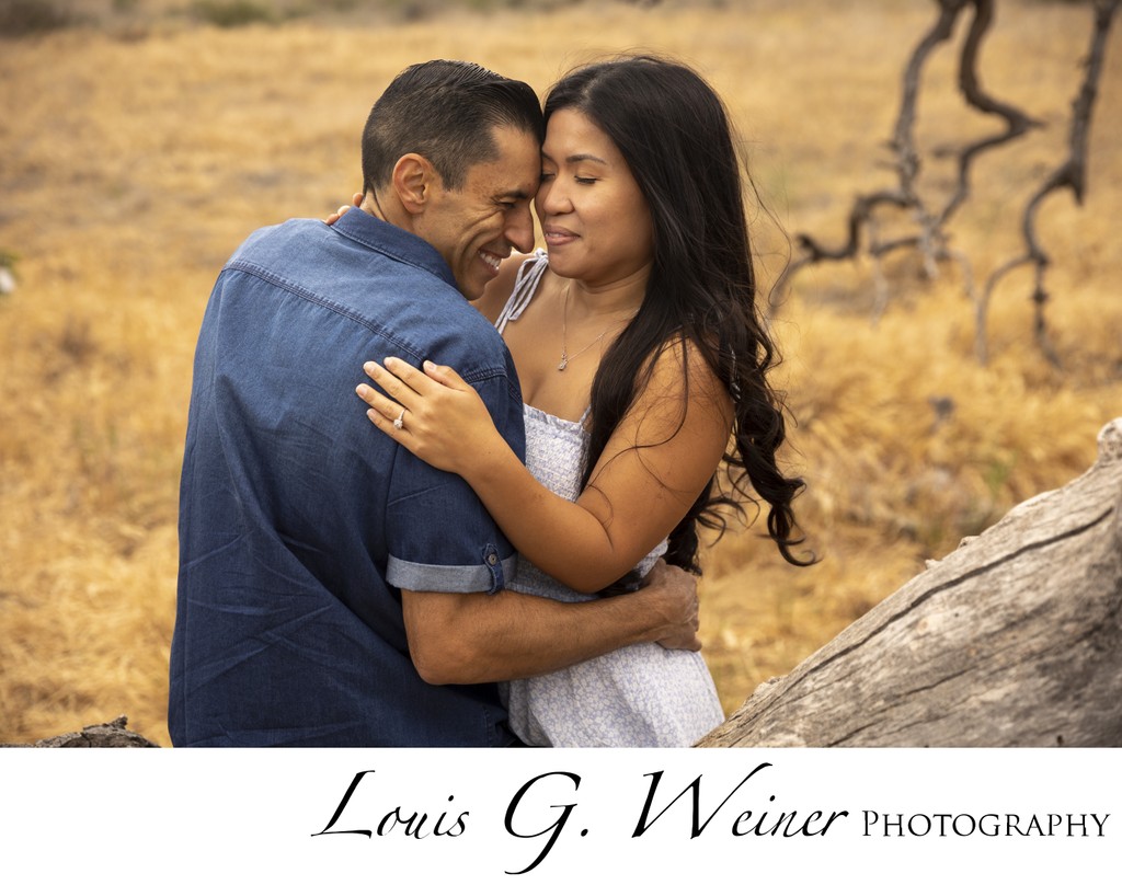 Louis G Weiner Photography engagement session