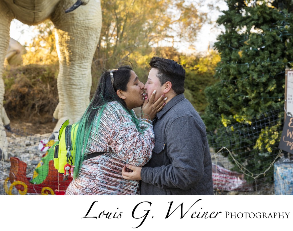 Marrage Proposal at Cabazon Dinosaur Park with Louis G Weiner Photography