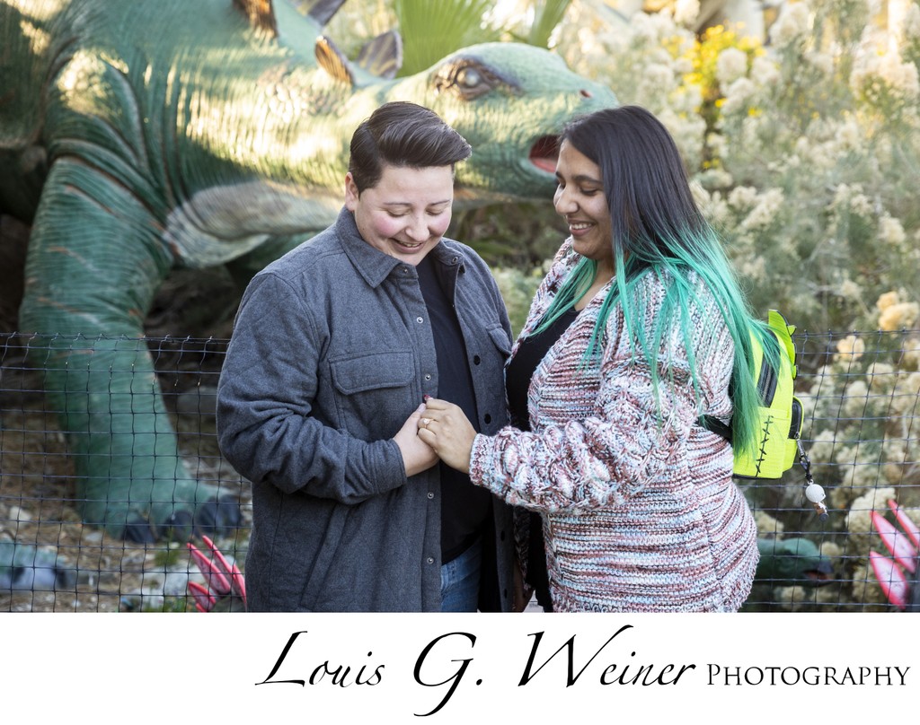 Marrage Proposal at Cabazon Dinosaur Park with Louis G Weiner Photography