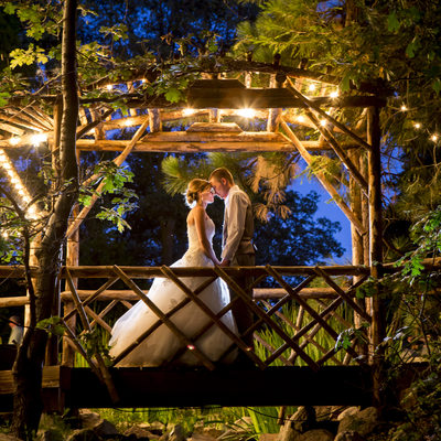 Mountain forest wedding night photography , Louis G Weiner 