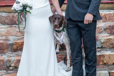 Dog at wedding, Gold Mountain Manor, Big Bear Lake, CA