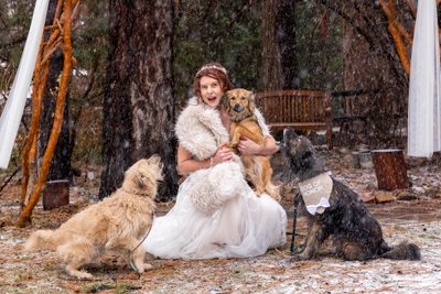 Wedding Dogs, Gold Mountain Manor Winter Wedding